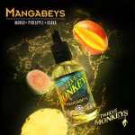 Mangabeys by Twelve Monkeys.jpg
