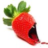 EvilStrawberry