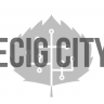 trennic_ecigcity4