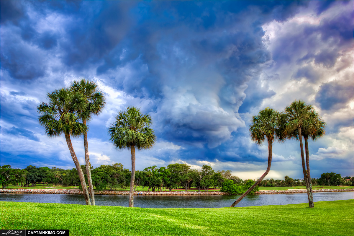 wpid19172-Storm-Clouds-Over-Palm-Trees-in-North-Palm-Beach-Golf-Course.jpg