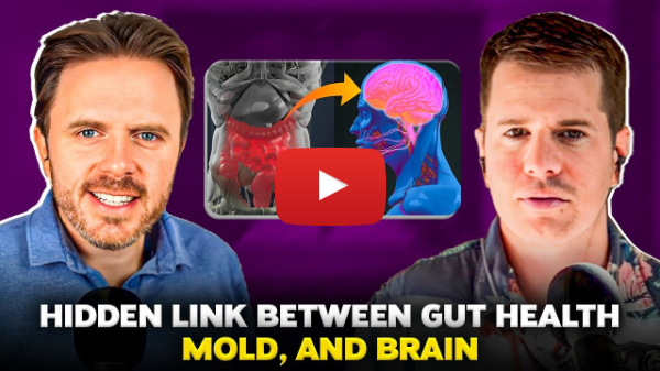 Mold, Gut Health, and Brain Function: The Hidden Connection Revealed! || Podcast