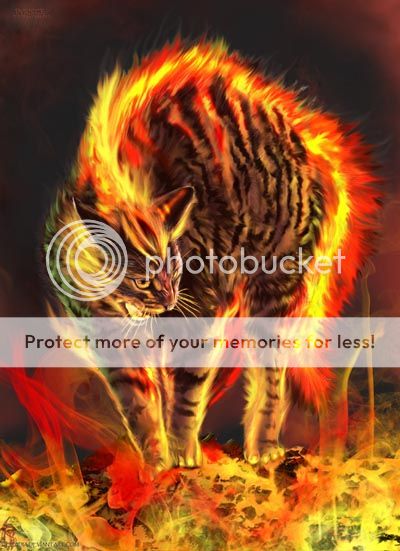 pyrisce_the_firecat-X.jpg~original
