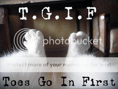 TGIF-feet-toes.jpg~original