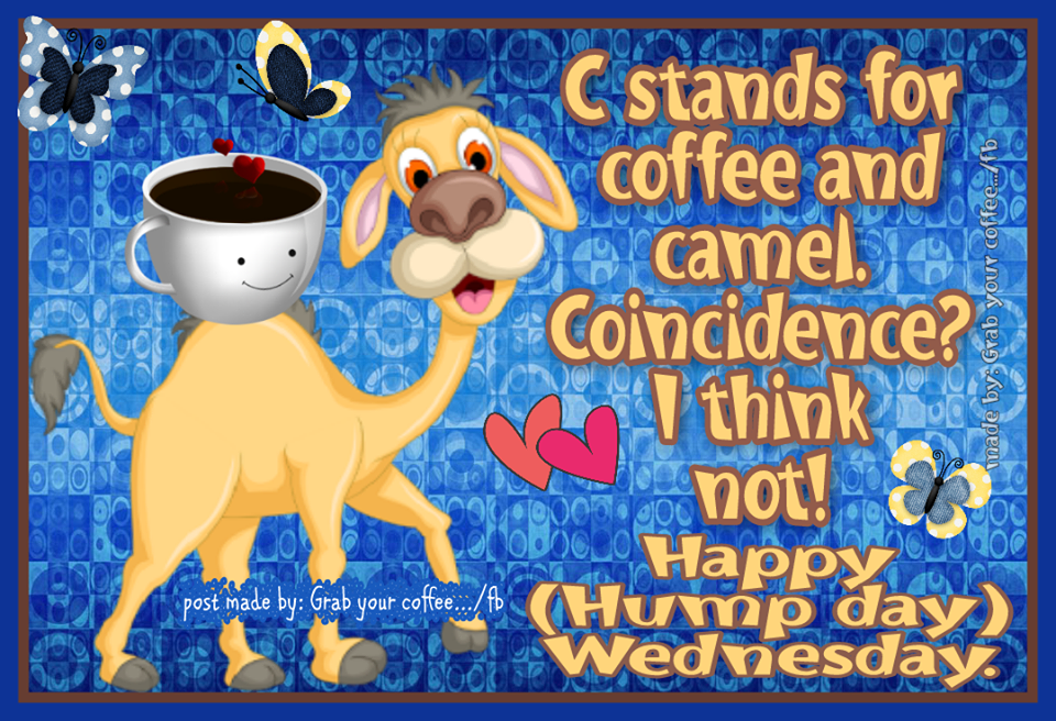 339852-C-Stands-For-Coffee-And-Camel.-Coincidence-I-Think-Not-Happy-Hump-Day-Wednesday.png