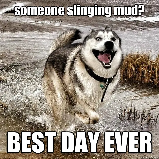 mud-slinging.jpg