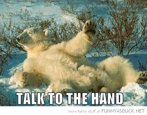 funny-pictures-talk-to-the-hand-polar-bear.jpg