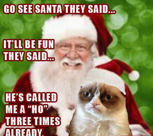 Santa_Grumpy_Cat_Christmas_Funny_Meme.jpg