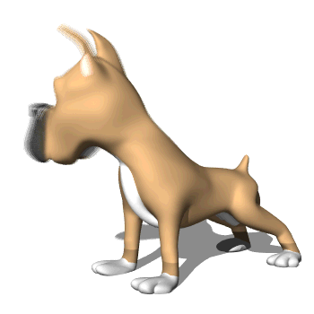 animated-dog-2.gif