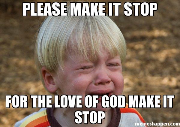 please-make-it-stop-for-the-love-of-god-make-it-stop-meme-27228
