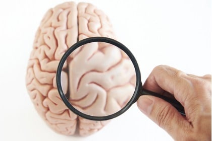 magnifying-glass-and-brain-model-on-white-background-hand-on-right.jpg