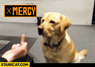 middle-finger-dog-mercy-cat-fight-gif-animation.gif