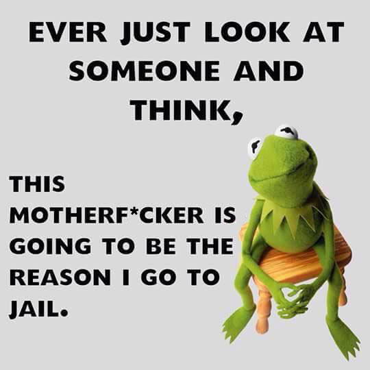 funny-Kermit-frog-friend-jail1.jpg
