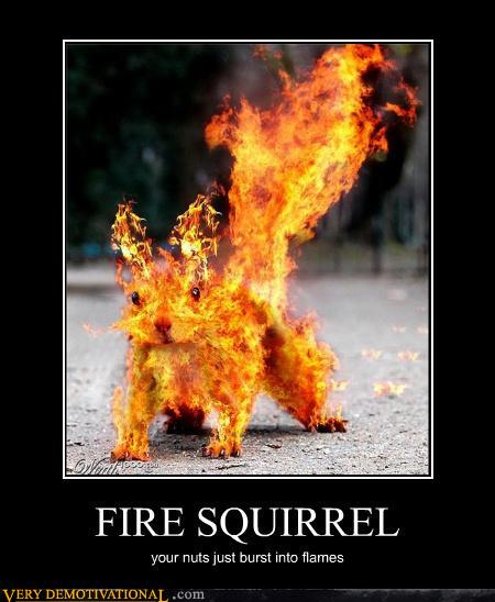 demotivational-posters-fire-squirrel.jpg