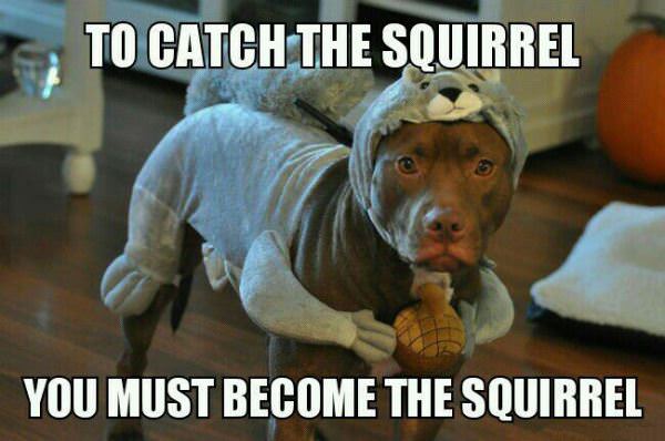 catching_a_squirrel.jpg