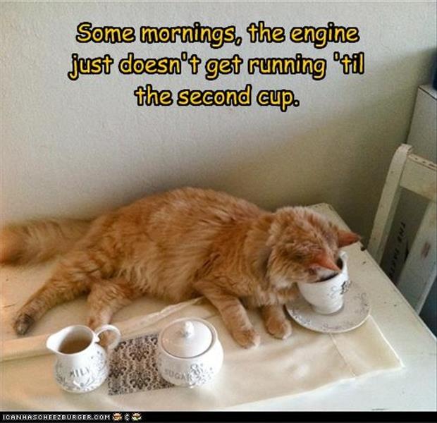 funny-coffee-in-the-morning-pictures1.jpg