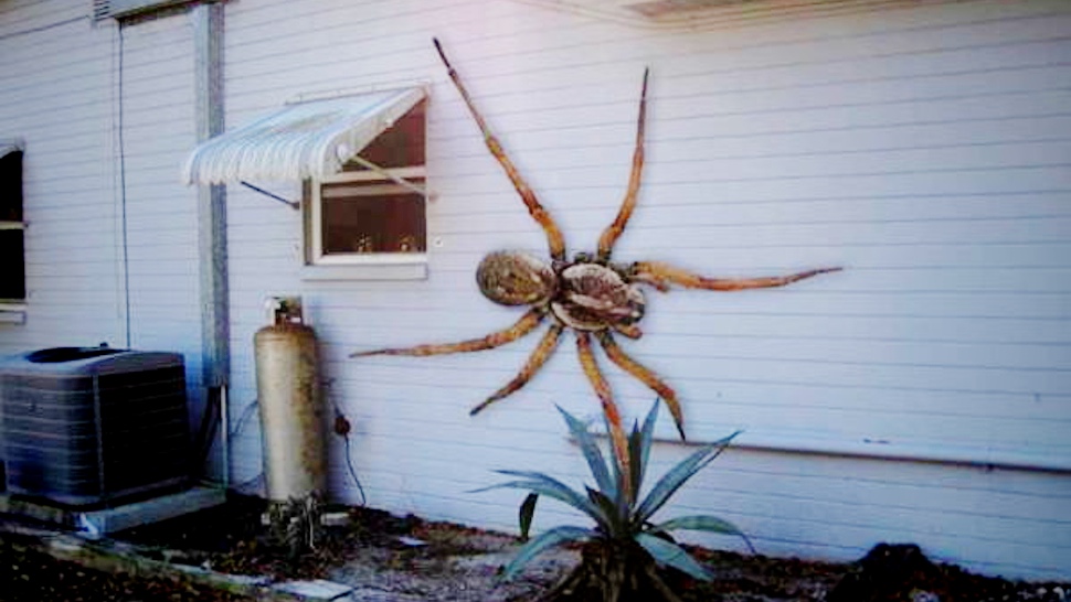 Giant-Spider.jpg