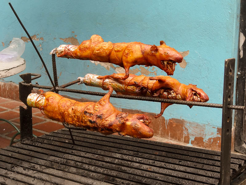 Roasted-Guinea-Pigs.jpg