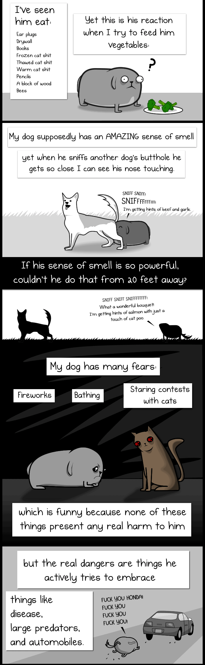8.1.15-My-Dog-the-Paradox5.png