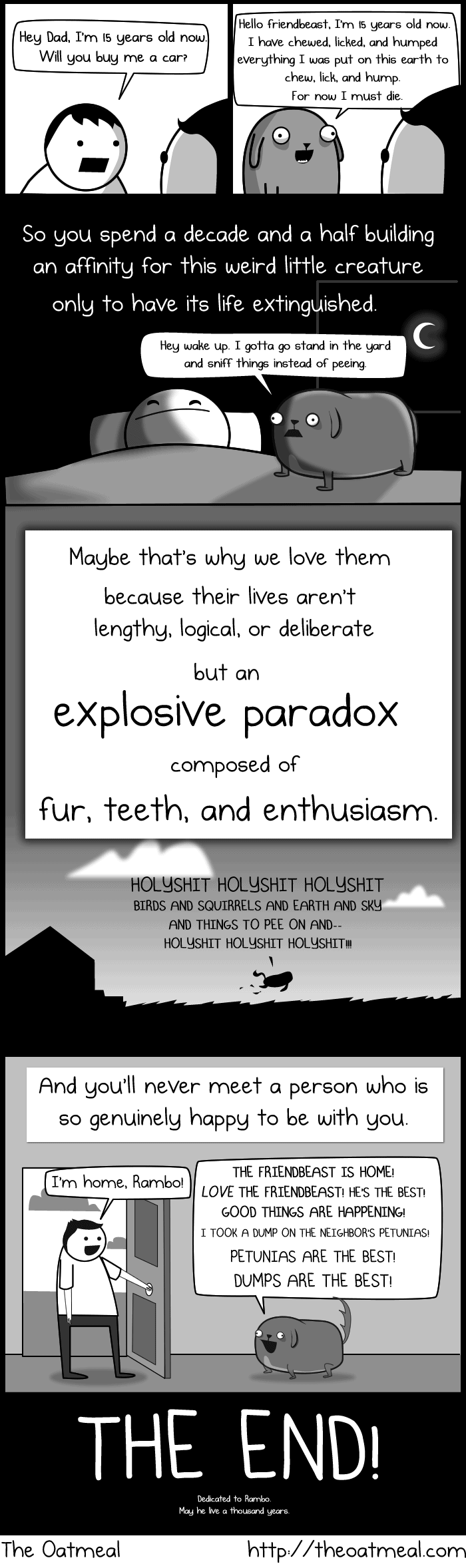 8.1.15-My-Dog-the-Paradox7.png