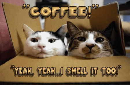 109378-Coffee-Yeah-Yeah...i-Smell-It-Too-.gif