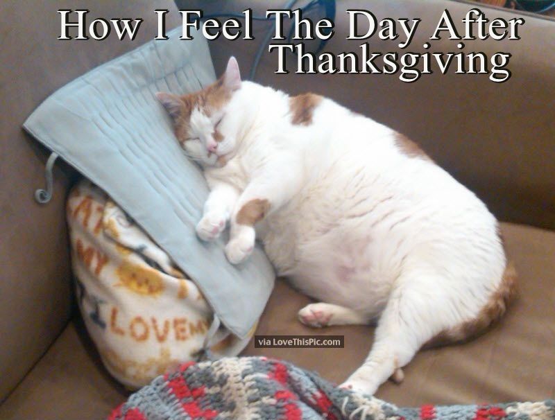 217522-How-I-Feel-The-Day-After-Thanksgiving.jpg