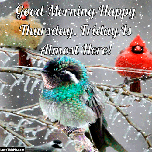 295494-Good-Morning-Happy-Thursday-Winter-Gif-Quote.gif