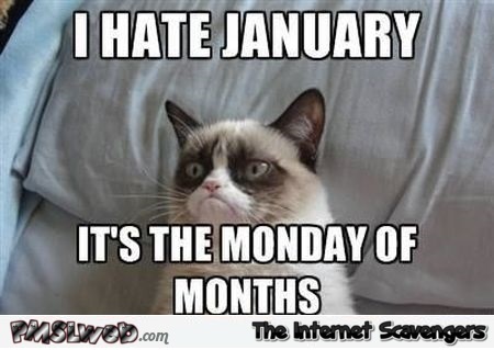 3-I-hate-January-meme.jpg