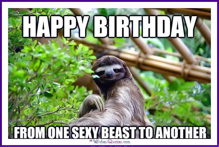 Birthday_Memes_Animals_Funny_13.jpg