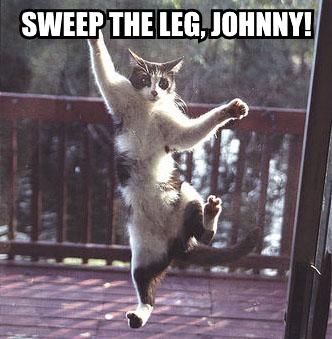 sweep-the-leg-johnny.jpg