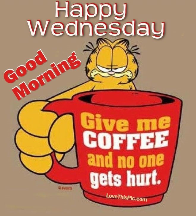 204677-Garfield-Good-Morning-Happy-Wednesday.jpg