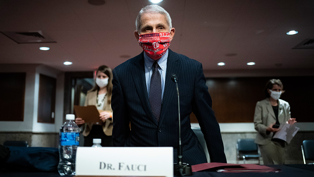 The REAL COST of Fauci's failures  