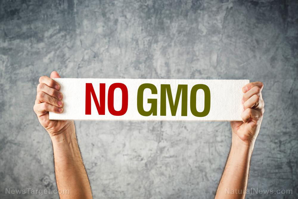 Sneaky QR code labeling HIDES GMOs in food  