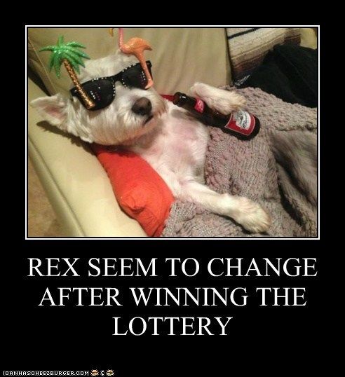 576e47653fd830976acc31c95b558fc0--lottery-winner-winning-the-lottery.jpg