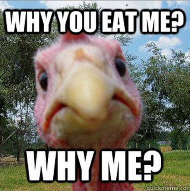 57ae401b01e0b10c5a20607f77b9759d--funny-thanksgiving-memes-thanksgiving-turkey-pictures.jpg