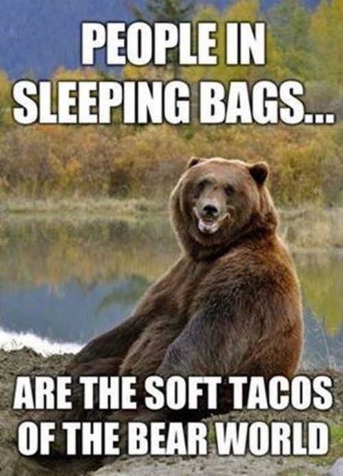 6d3c4afe109ccc9a7a348f278b99545e--soft-tacos-funniest-pictures.jpg