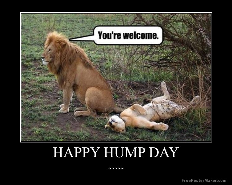 Hump-Day-Meme-Dirty-Youre-welcome-happy-hump-day.jpg