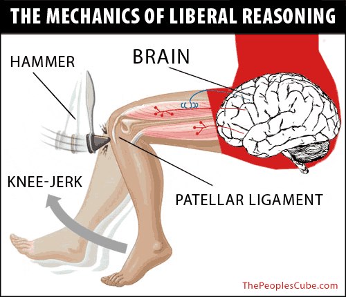 The-Mechanics-Of-Liberal-Reasoning.jpg