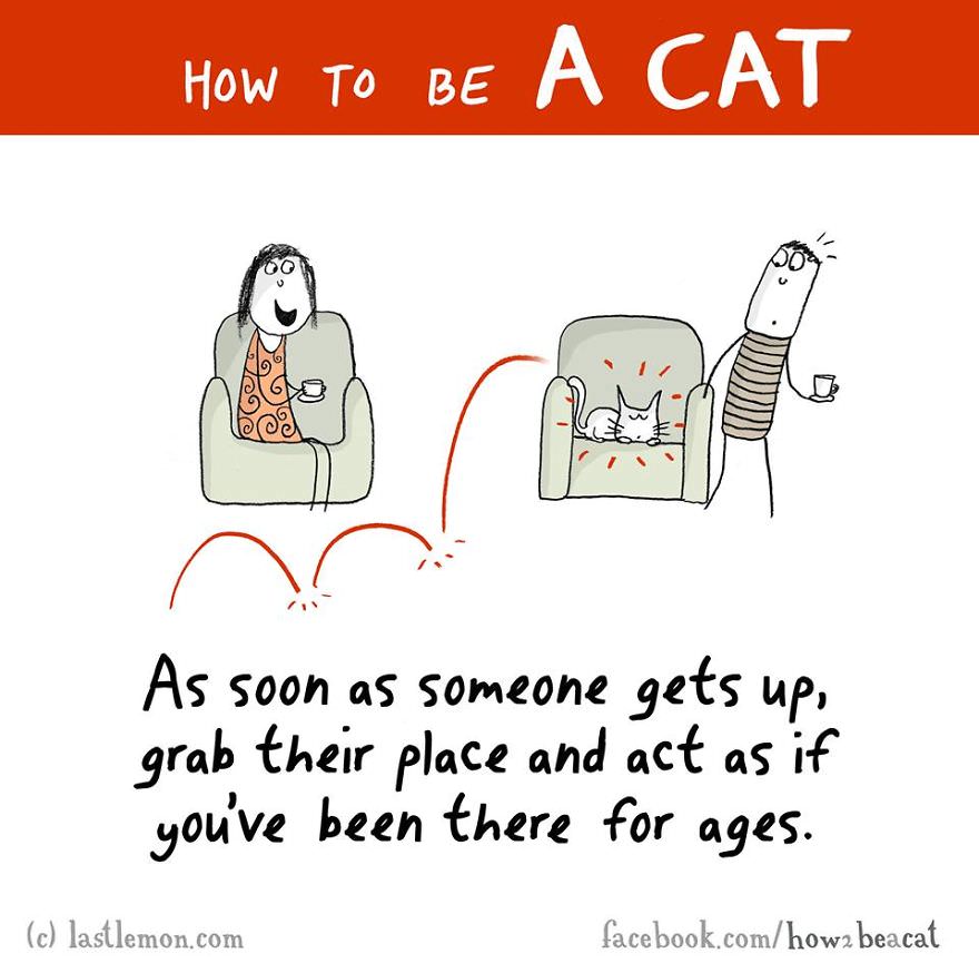 how-to-be-a-cat-funny-illustration-last-lemon-84__880.jpg