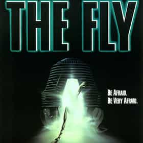 the-fly-films-photo-u1