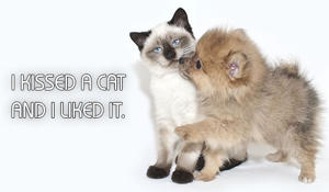 300-482446647-fluffy-puppy-kissing-cat-with-funny-caption.jpg
