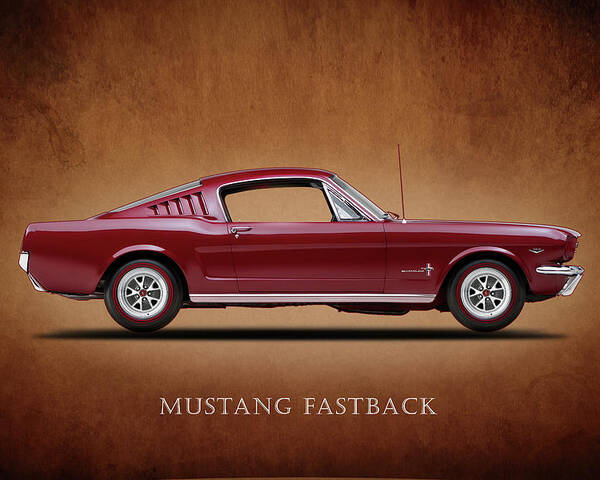 ford-mustang-fastback-1965-mark-rogan.jpg