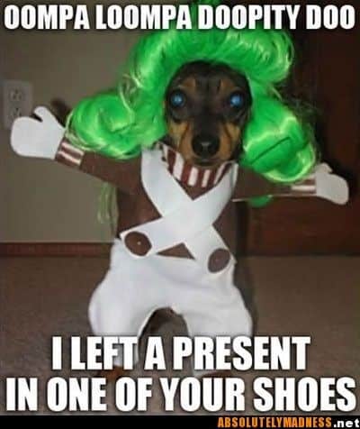 i-left-a-present-in-one-of-your-shoes-funny-ass-meme.jpg