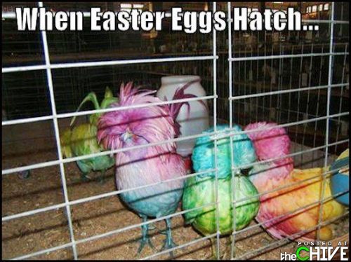 when-easter-eggs-hatch-happy-meme.jpg