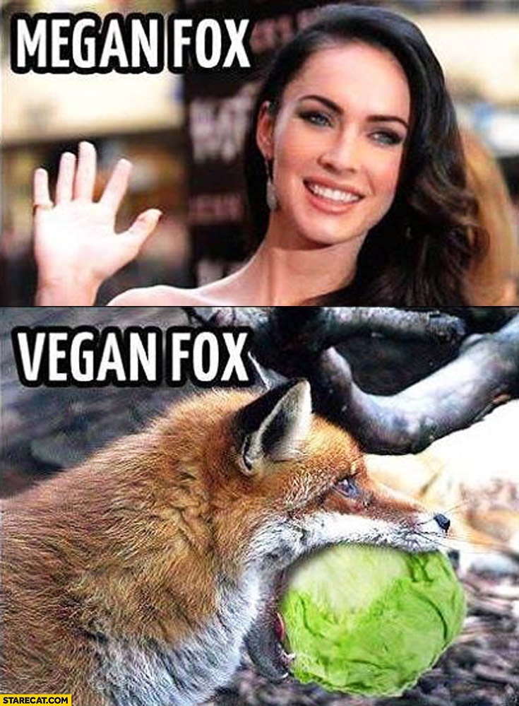 megan-fox-vegan-fox.jpg