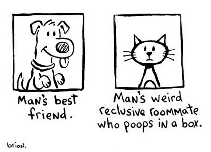 funny-cats-vs-dogs-comics-44-59c8e729c80cc__700.jpg