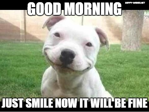 Happy-Dog-in-Good-Morning-memes.jpg