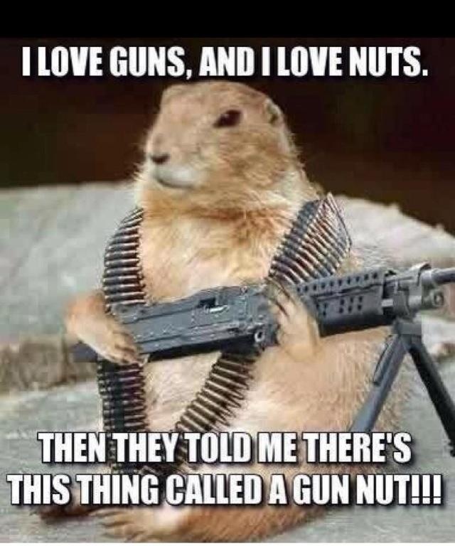 I-Love-Guns-And-I-Love-Nuts-Funny-Squirrel.jpg