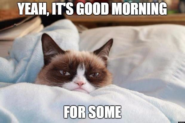 Grumpy-Cat-Good-Morning-Meme.jpg