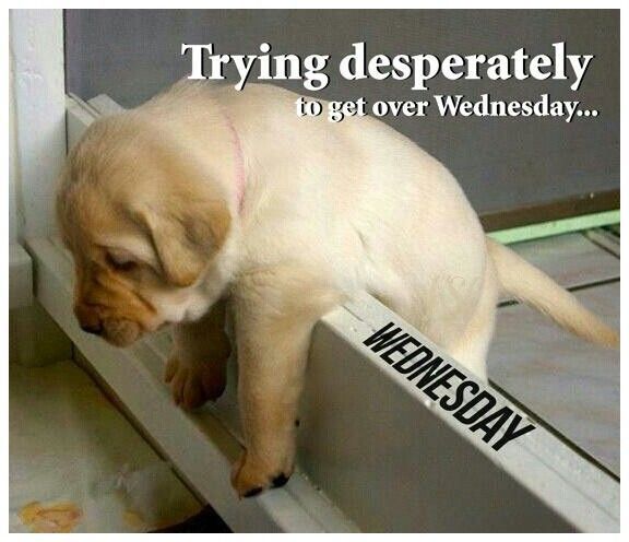 153644-Trying-To-Get-Over-Wednesday.jpg