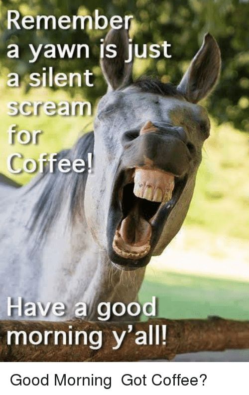 Good-Morning-Coffee-Meme-Pictures.jpg